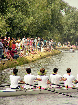 Crew gets their bump foliage