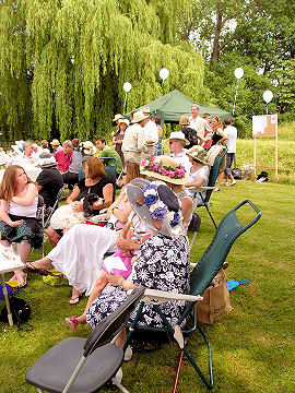 Crowds watching the action