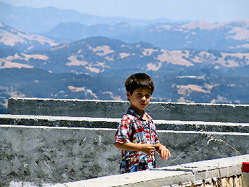 Dante in the pool area