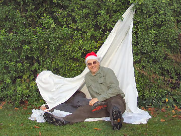 And occasionally it all came tumbling down (Henry under the sheet)