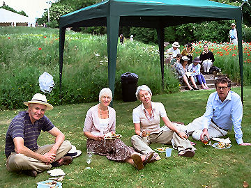 Jacksons and Muir-Woods