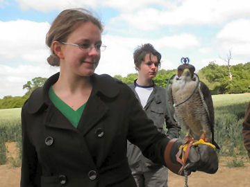 Alice with a Peregrine Falcon