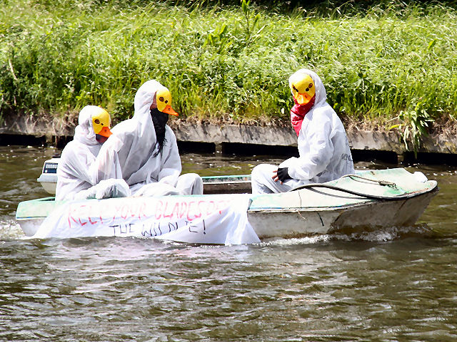 Not Ducking The Issue