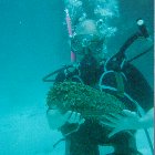 There is intelligent life in Australia!