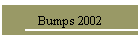Bumps 2002