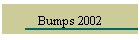 Bumps 2002