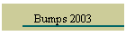 Bumps 2003