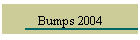 Bumps 2004
