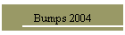 Bumps 2004