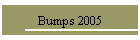 Bumps 2005