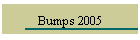 Bumps 2005