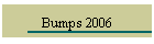 Bumps 2006