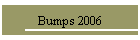 Bumps 2006