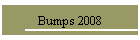 Bumps 2008
