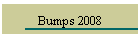 Bumps 2008