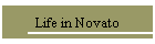 Life in Novato
