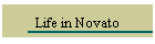 Life in Novato
