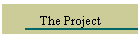 The Project