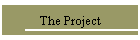 The Project