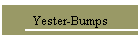 Yester-Bumps