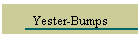 Yester-Bumps