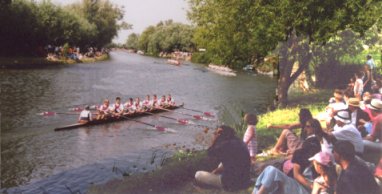 Watching the bumps from Ditton Corner
